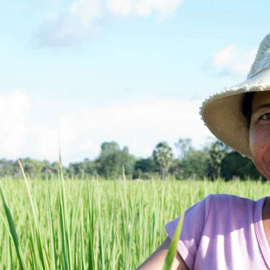 Farmer in a rice field in Cambodia