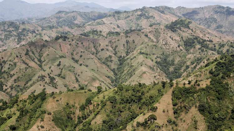 97% of Haiti's forests have now been cleared, leaving behind barren lunar landscapes and unsecured soil.
