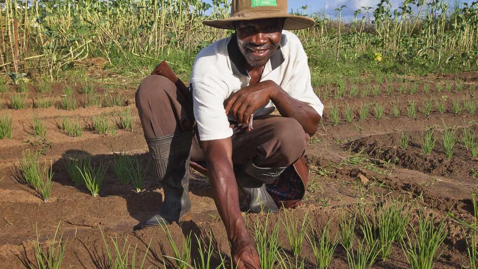 Zimbabwe Projekte 2014, Kleinbauern in Simbabwe