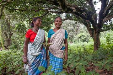 Veidi Paharin and her neighbor Jomi Pacharin meet every morning to collect food in the forest, on the field and in the river near the village Kutlo. 