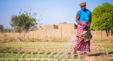 A woman waters her crops in Burkina Faso.