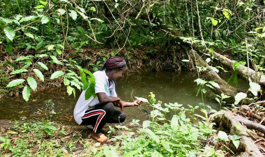 A young woman kneels by a stream and examines the water.