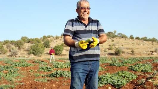 Faruk Youssef in the field. 