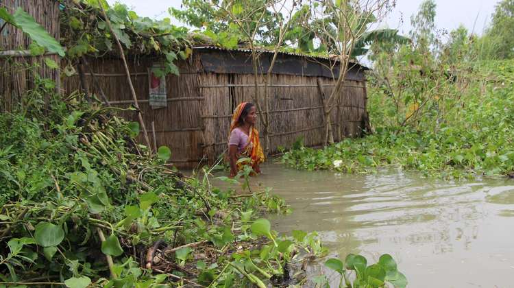 After heavy rainfalls, the Jamuna river in north western Bangladesh rises significantly. For the locals, this often means losing their crops and their homes.