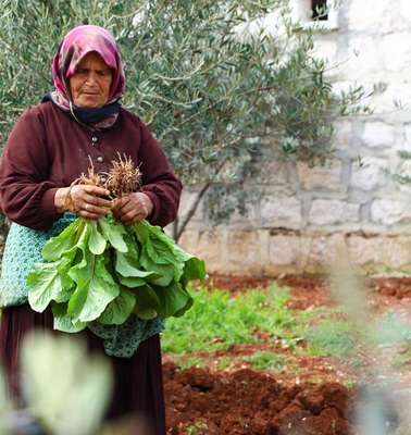 Zahida Khleef in her vegetable garden