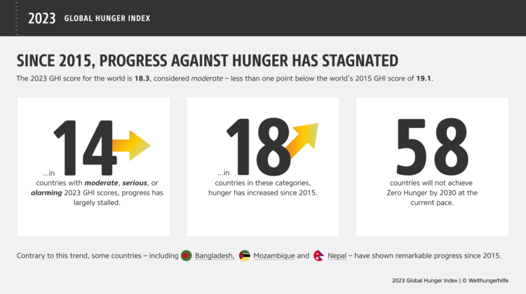 Since 2015, progress toward ending hunger has stagnated. Contrary to this trend, however, some countries have made remarkable progress.