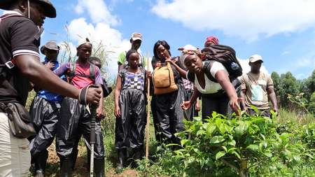 A group of young people stand around a plant, a young woman examines it.