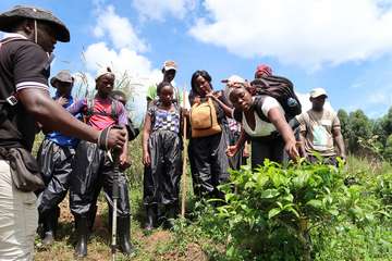 Eine Gruppe junger Menschen steht um eine Pflanze herum, eine junge Frau untersucht sie.