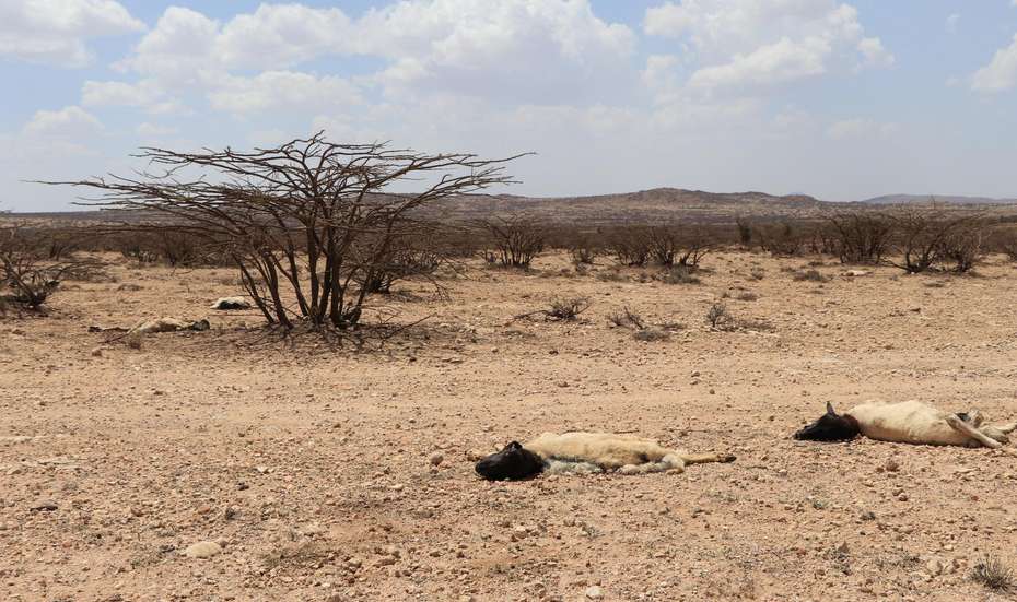 Drought in Somaliland in 2017