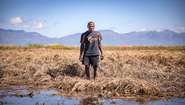 A man standing in a destroyed maize field