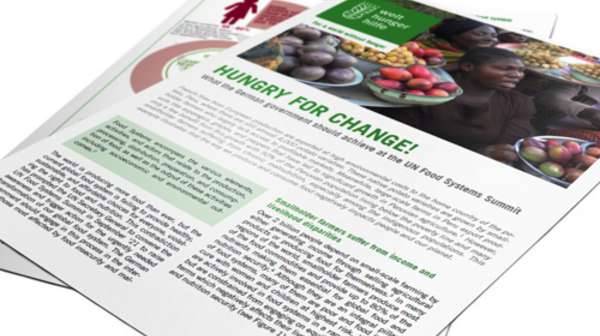 Teaserbild zum Policy Brief "Hungry for Change"