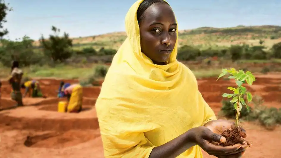 Woman holding tree sapling in her palms