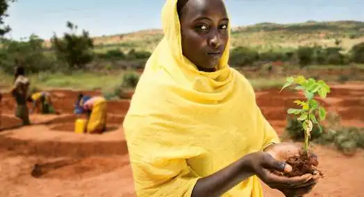Woman holding tree sapling in her palms