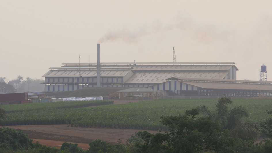 Industrial-scale factory in Sierra Leone.