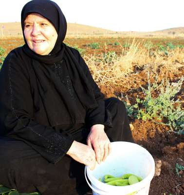 Sawsan Nahas from Hama, Syria, in a cucumber field