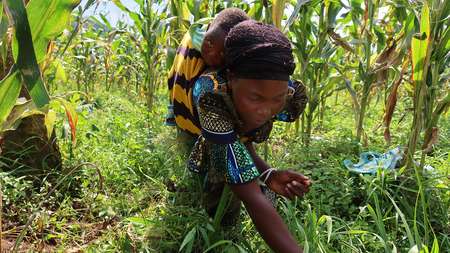 2021-dr-congo-projektteilnehmerin-furaha-mauwa-yoboka-saatgutvermehrer.jpg Eine Frau trägt ihr Baby auf dem Rücken, während sie auf dem Feld arbeitet, Kongo 2021.