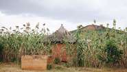 90% of people in Burkina Faso live as subsistence farmers in such huts.