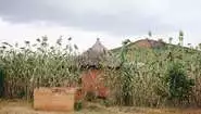 90% of people in Burkina Faso live as subsistence farmers in such huts.