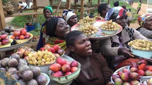 Frauen auf einem Markt mit ihrer Ware, Kongo, Nordosten, Ituri Kongo northeast Ituri.