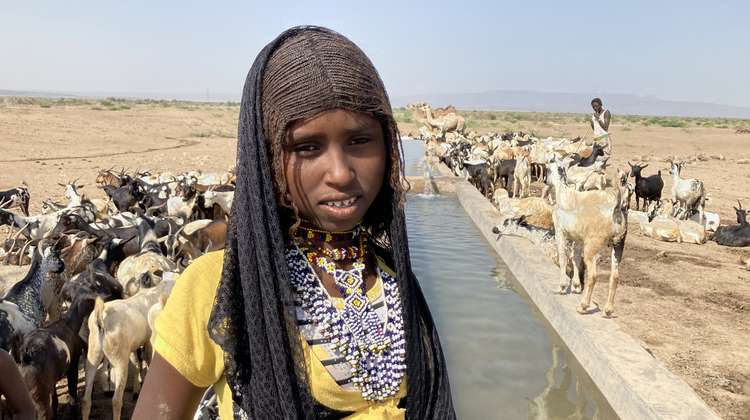 Tochter einer Hirtenfamilie in der Region Afar, Äthiopien. Im Hintergrund sind eine karge Landschaft und Ziegen zu sehen.