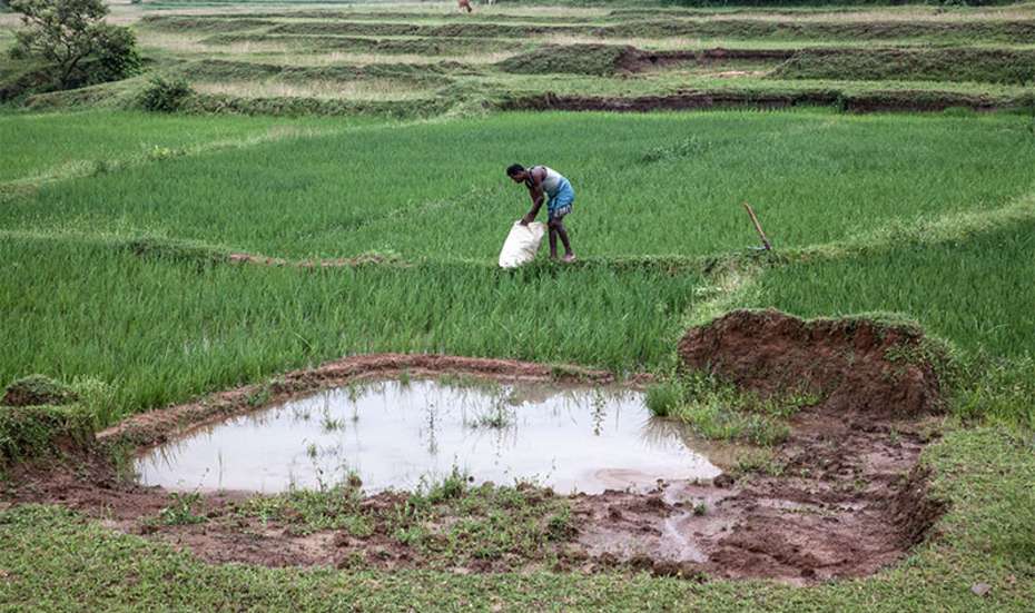 Smallholder farmers especially are facing the challenges of climate change.