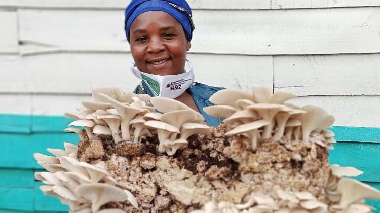 Eine Projektteilnehmerin zeigt ihre Pilzzucht, Kongo 2021.