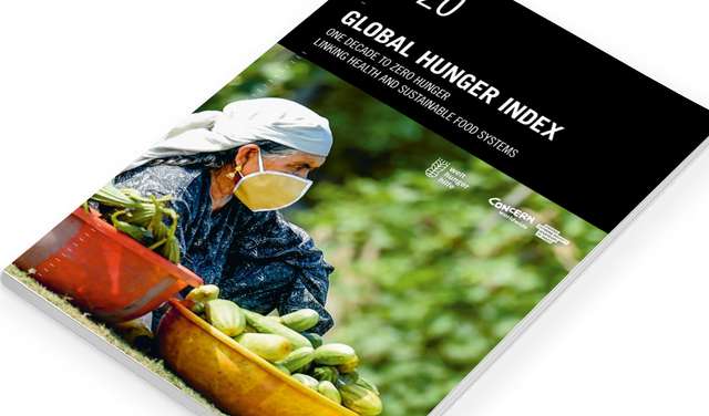 2020-teaser-global-hunger-index.jpg