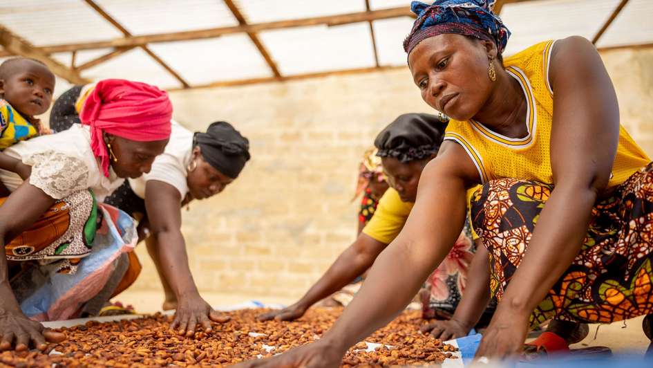 Women processing cocoa as part of a cooperative