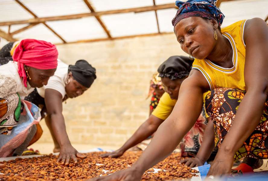 Women processing cocoa as part of a cooperative