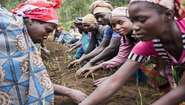 In a Welthungerhilfe project in North Kivu, Democratic Republic of Congo, people are learning methods of vegetable cultivation in a training garden. Garlic is planted here.