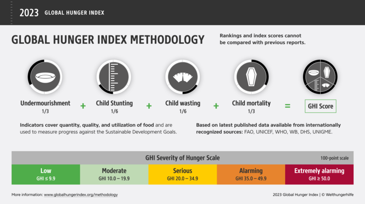 Global Hunger Index methodology. Indicators cover quantity, quality, and utilization of food.