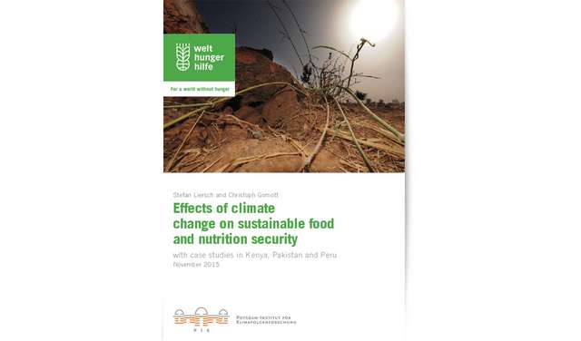 2015-effects-of-climate-change-on-sustainable-food-and-nutrition-security.jpg