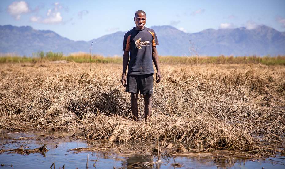 Ein malawischer Kleinbauer steht in einem überschwemmten Feld und blickt in die Kamera.